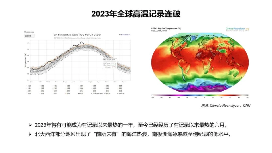 碳中和背景下可再生能源倍增式发展：机遇与挑战_第3页