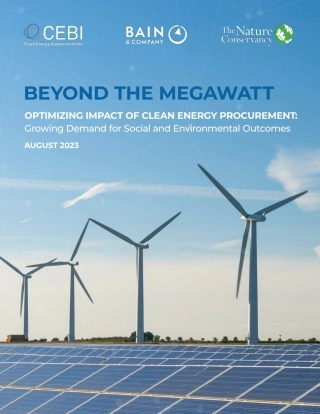 贝恩-优化清洁能源采购的影响（英语版）