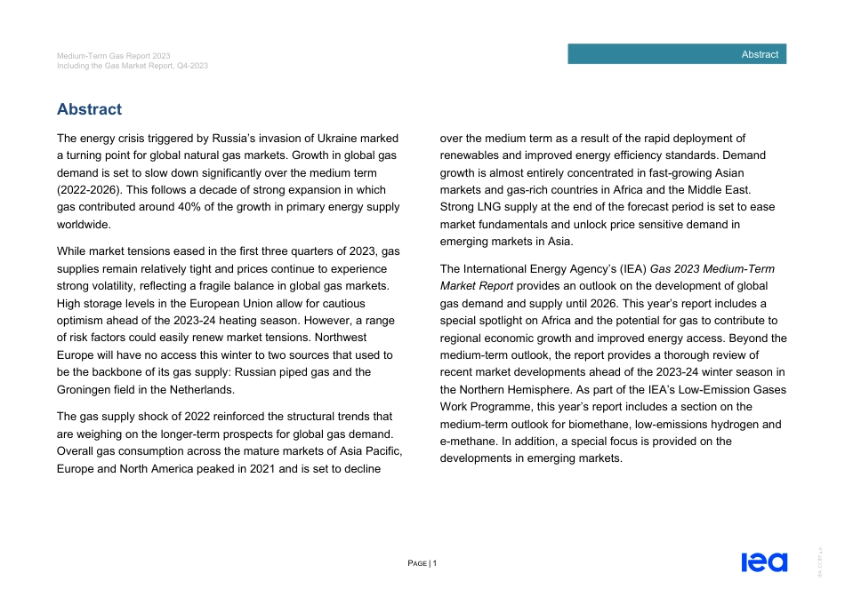 2023世界燃气年中报告（英文版）--国际能源署_第3页