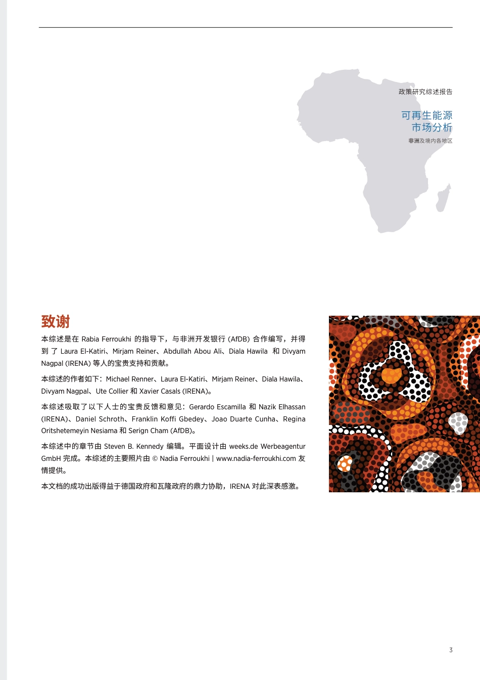 可再生能源市场分析：非洲及境内各地区 - 政策研究综述报告-IRENA_第3页