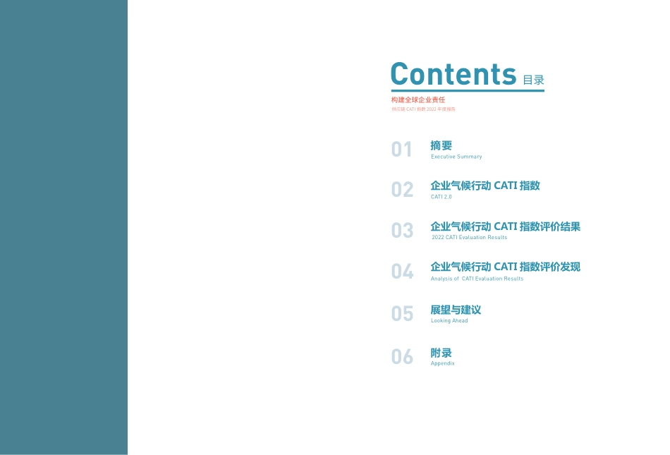 供应链 CATI 指数 2022 —— 构建全球企业责任--IPE_第2页