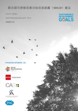 联合国可持续发展目标信息披露（SDGD）建议