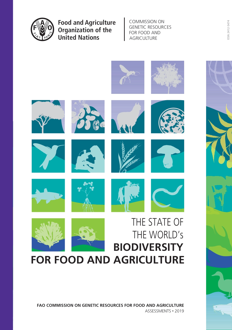 联合国粮食及农业组织：世界粮食和农业生物多样性状况（英文版）_第1页