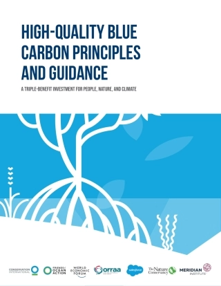 高质量蓝碳原则与指南（英文版）--大自然保护协会