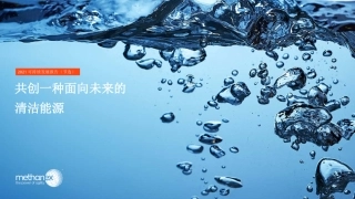 共创一种面向未来的清洁能源-methanex