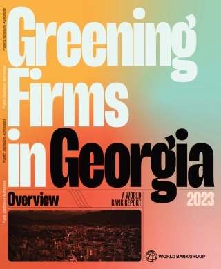 世界银行-佐治亚州的绿化公司（英）-2023.10-34页