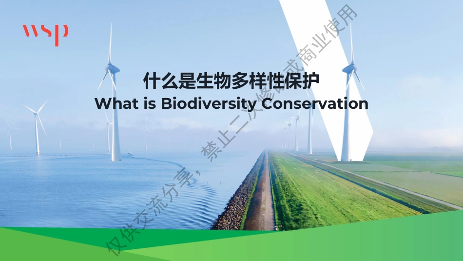 黄健先生-ESG面临的新挑战：生物多样性_第2页