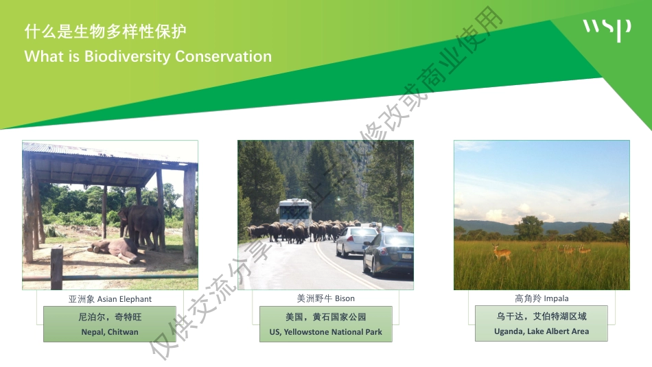 黄健先生-ESG面临的新挑战：生物多样性_第3页