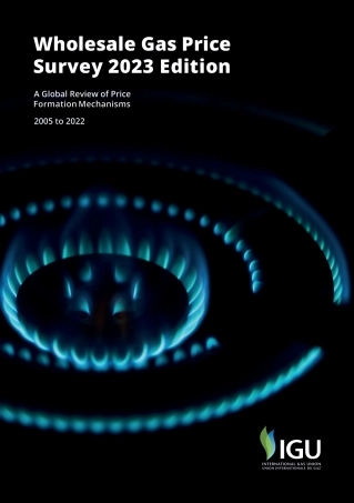 2023年全球天然气批发价格调查报告-英文-国际气体联盟IGU