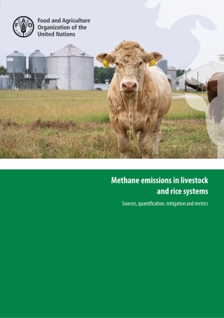 牲畜和水稻系统中的甲烷排放——来源、量化、缓解和指标（英文版）--联合国粮农组织