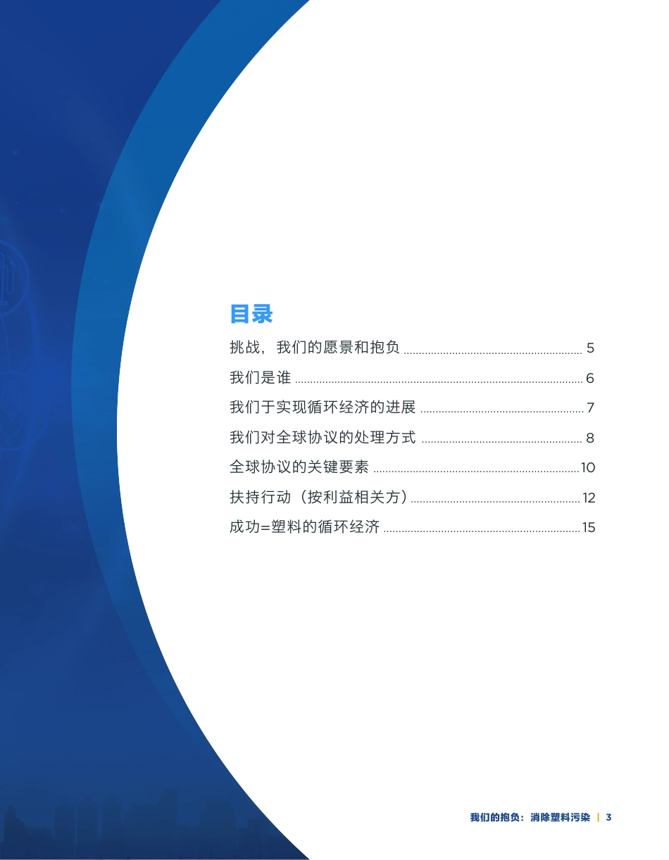 我们的抱负：消除塑料污染--PlasticsCircularity_第3页