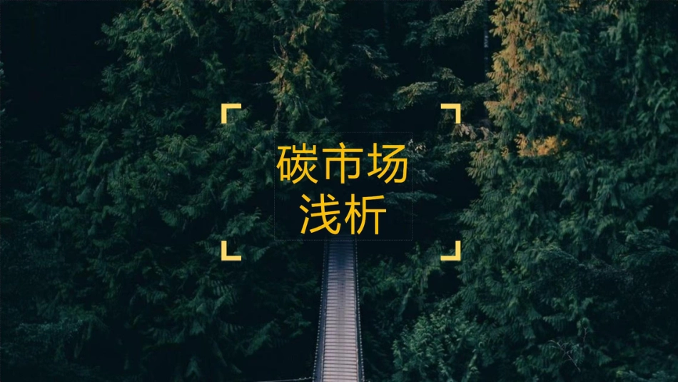 碳市场与碳资产-20页_第1页