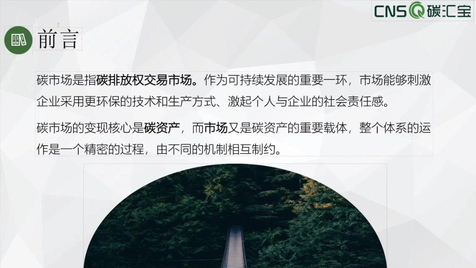 碳市场与碳资产-20页_第2页