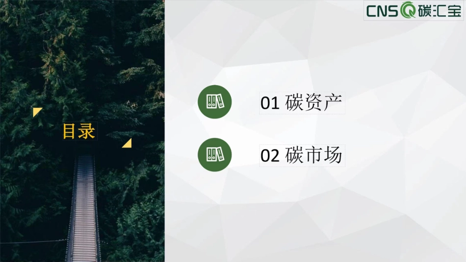 碳市场与碳资产-20页_第3页