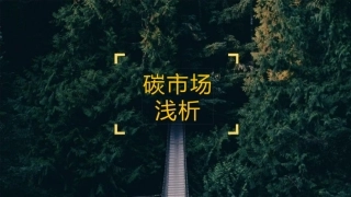 碳市场与碳资产-20页