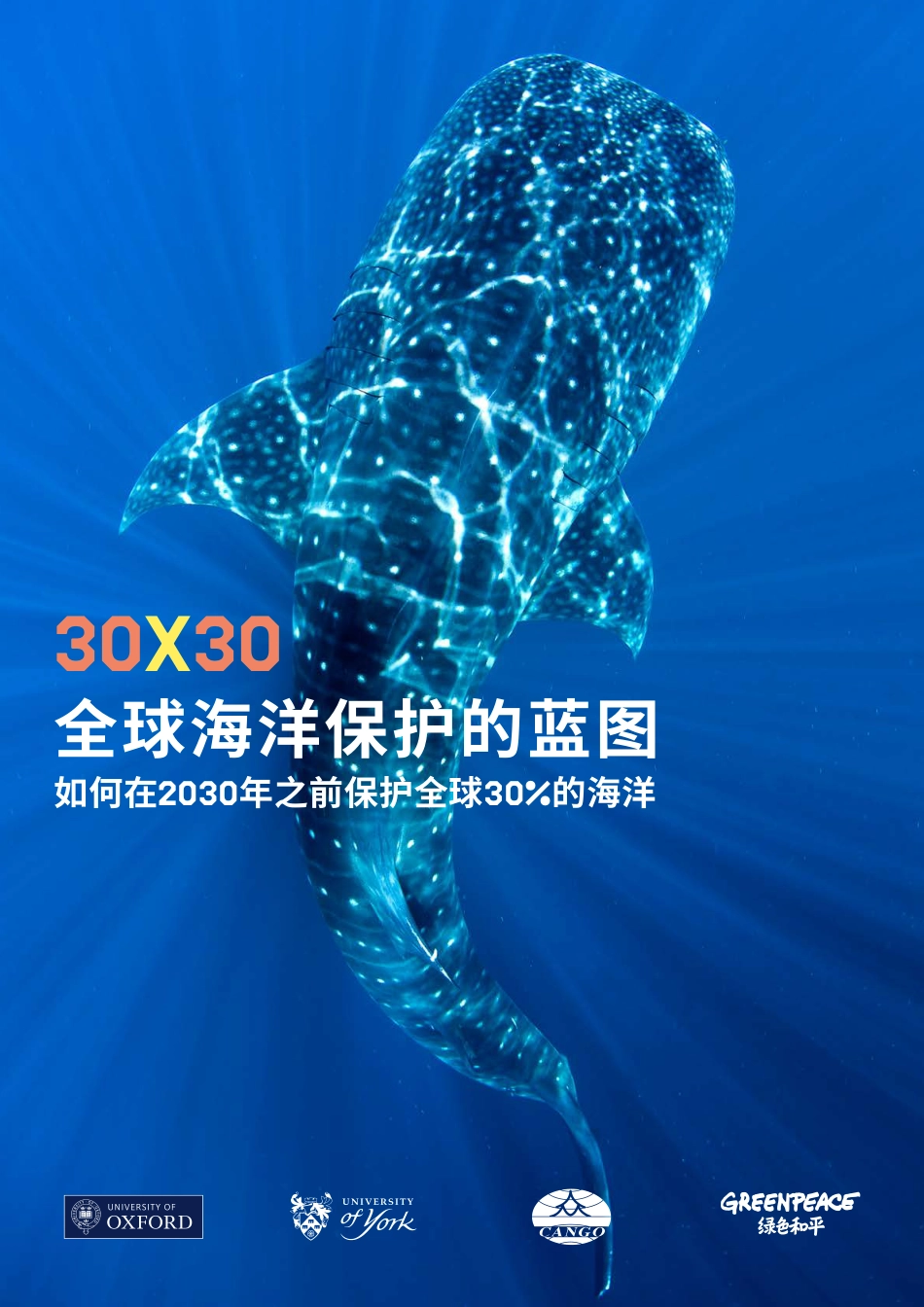30X30全球海洋保护的蓝图-如何在2030年之前保护全球30%的海洋-绿色和平_第1页