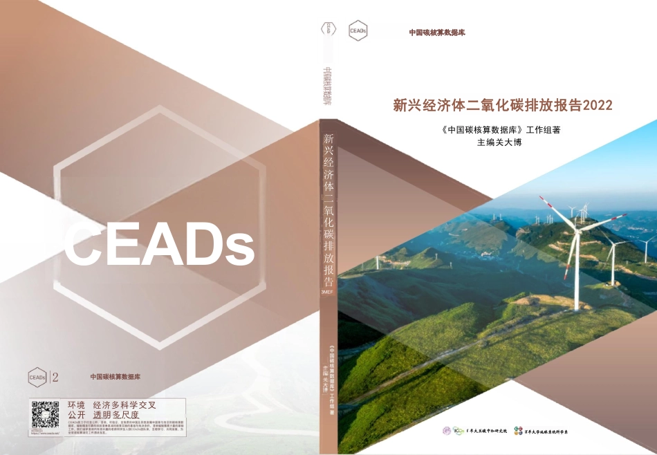 新兴经济体二氧化碳排放报告2022_第1页