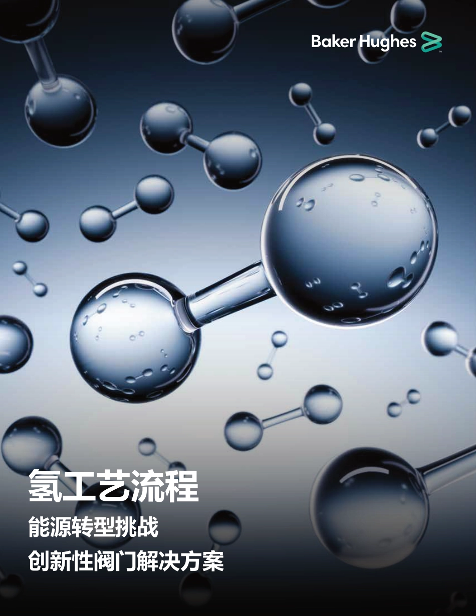 氢工艺流程：能源转型挑战创新性阀门解决方案--Baker Hughes_第1页
