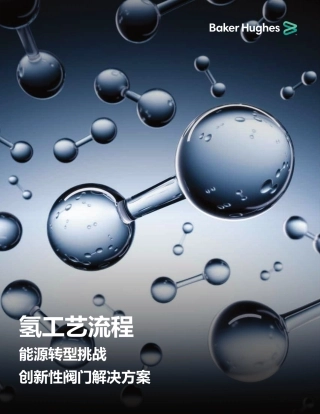 氢工艺流程：能源转型挑战创新性阀门解决方案--Baker Hughes