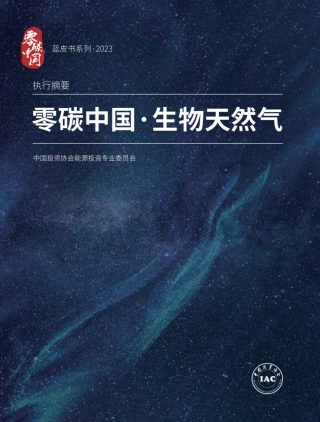 零碳中国·生物天然气-20231108-20页