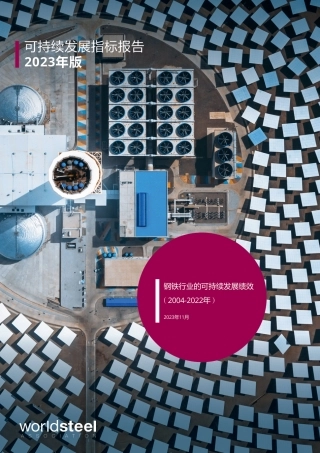 可持续发展指标报告2023年版-钢铁行业的可持续发展绩效（2004-2022年）--World Steel
