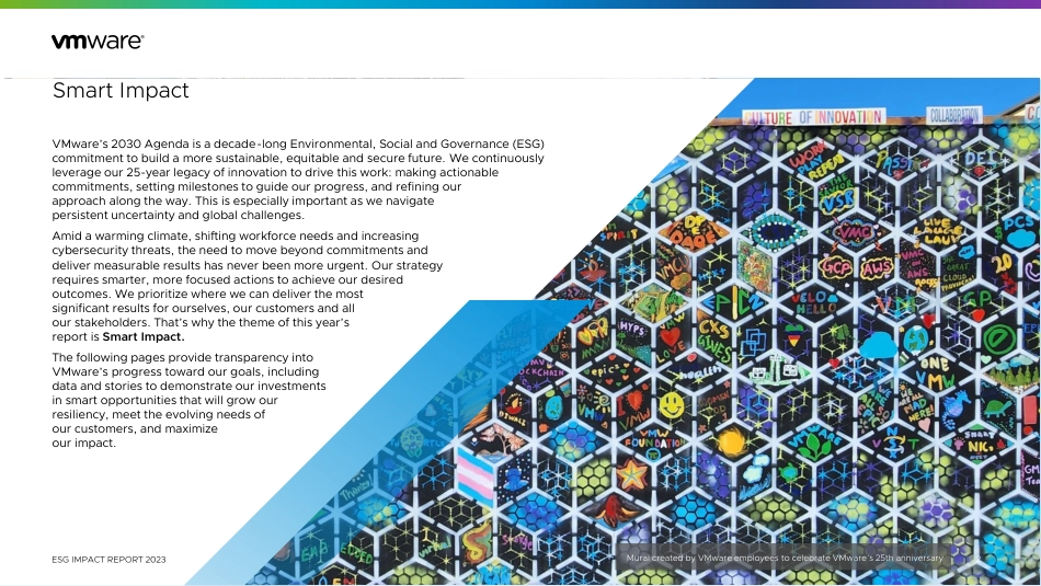 ESG报告2023（英文版）-VMWARE_第2页