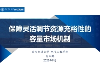 肖云鹏：保障灵活调节资源充裕性的容量市场机制