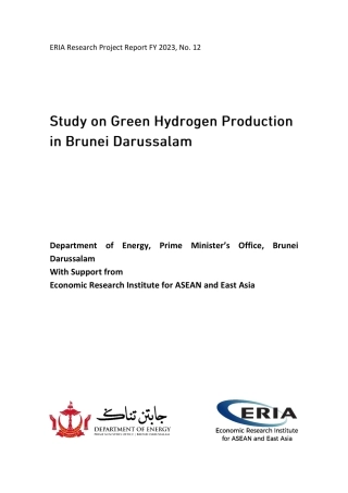 东盟与东亚经济研究所（ERIA）：文莱绿氢生产研究