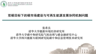 碳中和目标下的碳市场和可再生能源政策协同发展问题探讨