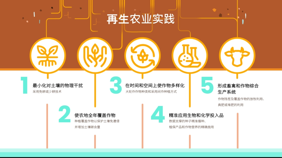 再生农业：创新与传统的交汇--先正达集团_第2页