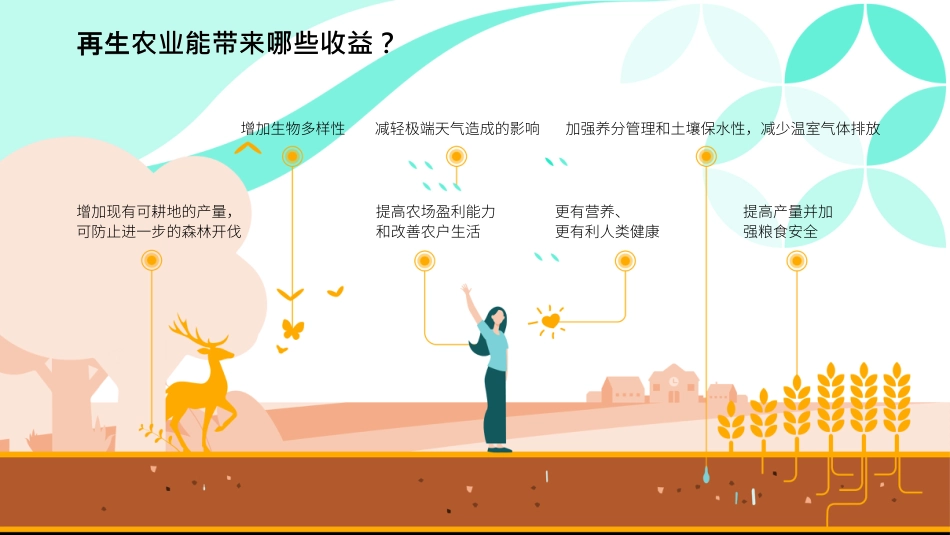 再生农业：创新与传统的交汇--先正达集团_第3页