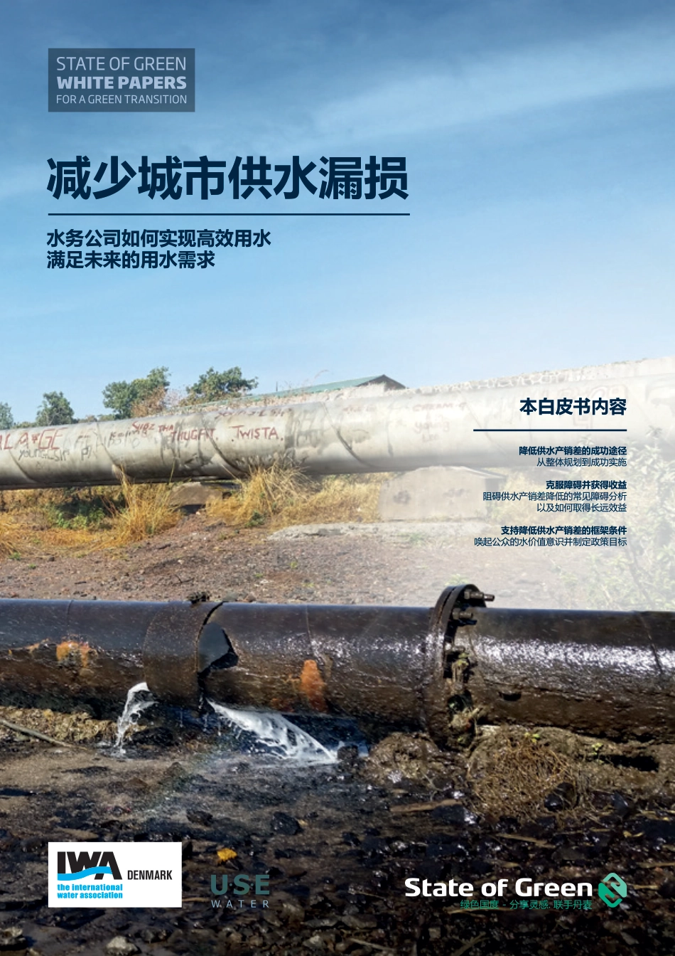 绿色转型白皮书-减少城市供水漏损-绿色国度（State of Green）_第1页