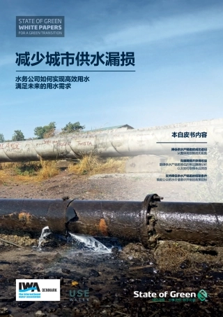 绿色转型白皮书-减少城市供水漏损-绿色国度（State of Green）