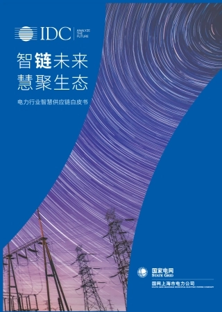 电力行业智慧供应链白皮书—智链未来 慧聚生态--IDC&国家电网