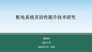 配电系统灵活性提升技术研究--武汉大学 董旭柱