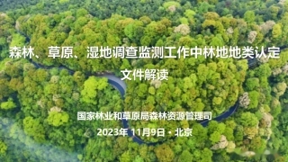 关于进一步明确森林、草原、湿地调查监测工作中林地地类认定_文件解读231106--35页