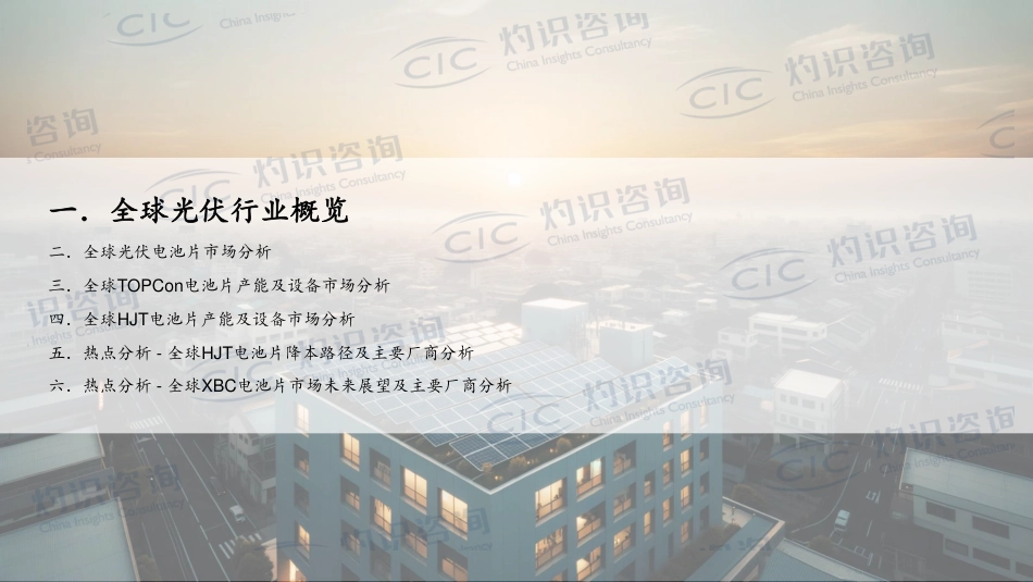 全球光伏电池片行业蓝皮书--CIC灼识咨询_第3页