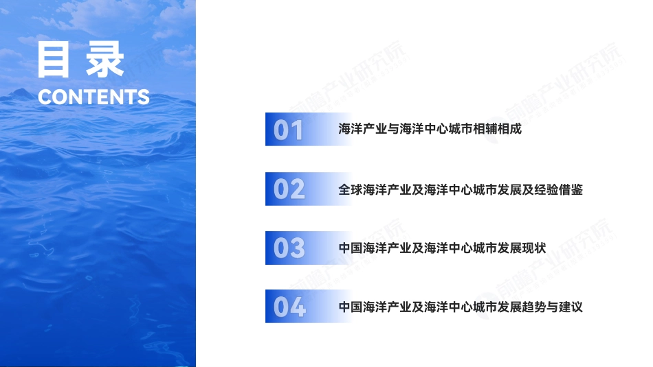 2023年全球海洋产业及海洋中心城市发展白皮书-59页_第2页