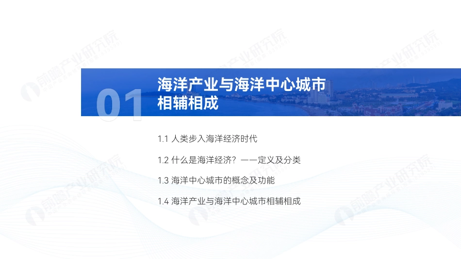2023年全球海洋产业及海洋中心城市发展白皮书-59页_第3页