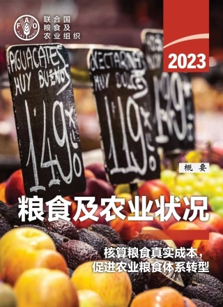 联合国粮农组织：2023年粮食及农业状况报告