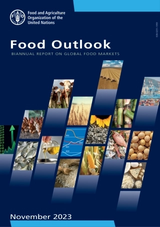 全球粮食展望报告（英文版）--联合国粮农组织