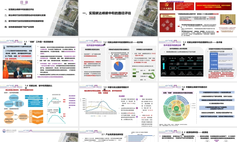 碳达峰时代的科技创新和产业培育
