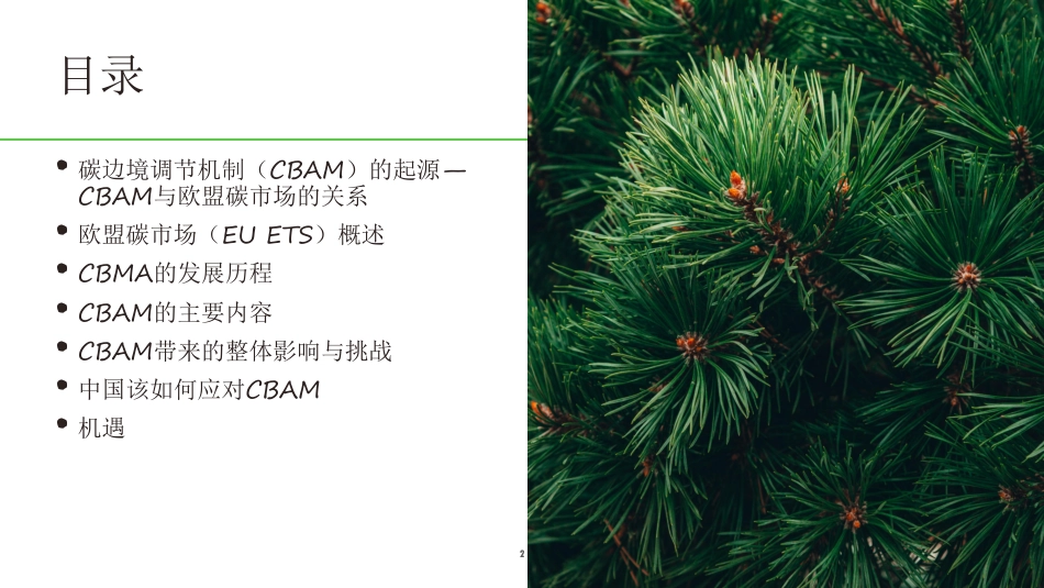 欧盟碳关税带来的重大影响与机遇_第2页