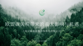 欧盟碳关税带来的重大影响与机遇