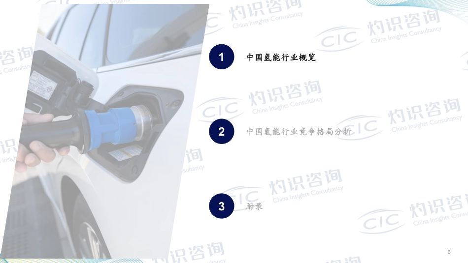 2023中国氢能行业蓝皮书-CIC灼识咨询-2023-56页_第3页