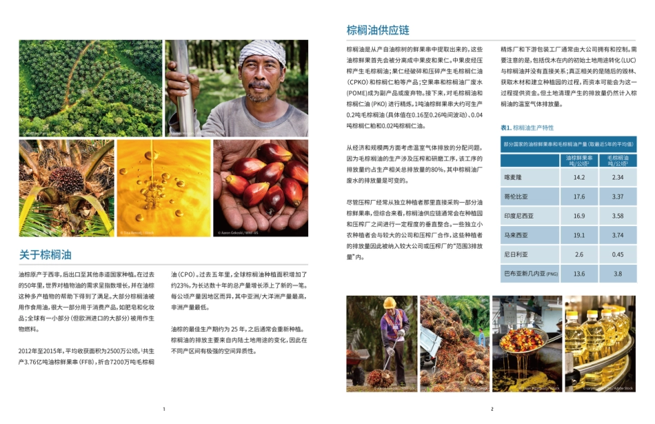 温室气体排放的测量与减缓：棕榈油-世界自然基金会_第2页