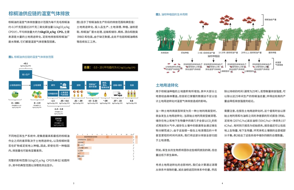 温室气体排放的测量与减缓：棕榈油-世界自然基金会_第3页