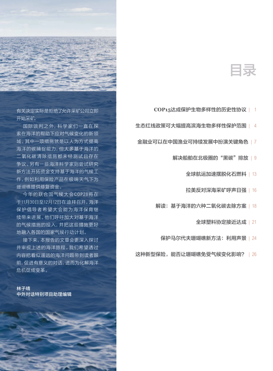蓝色前沿_2023_中文版_第3页