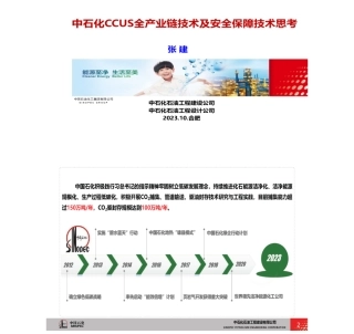 中石化CCUS全产业链技术及安全保障技术思考 