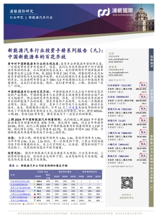 浦银国际：中国新能源车的百花齐放